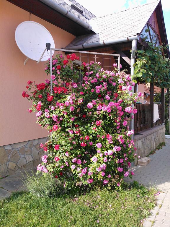 Valentin Vendeghaz Hotell Balatonlelle Exteriör bild